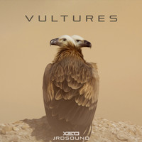 jrdsound - Vultures EP