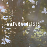 Meditation Rain Sounds, Bien Dormir and Official White Noise Collection - Natura Noises
