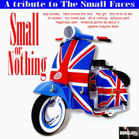 The Modz - Small Or Nothing