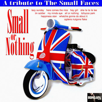 The Modz - Small Or Nothing