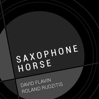 David Flavin - Saxophone Horse