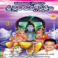 Various Aritists - Kaliyuga Kailasam Sri Saila Divya Kshetram