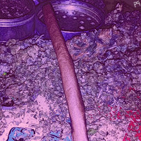 Pollie Pop - 28 Grams, Vol. 4 (Explicit)