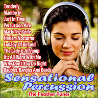 The Feather Tunes - Sensational Percussion