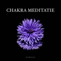 Yin and Yang - Chakra Meditatie - Panfluit Muziek