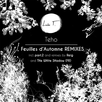 tEho - Feuilles d'automne Remixes