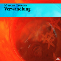 Marcus Troeger - Verwandlung