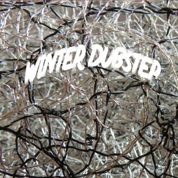 Various Artists - Winter Dubstep (Explicit)