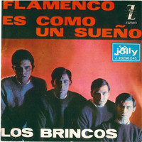 Los Brincos - Flamenco - Es come un sueño