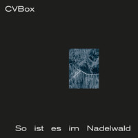 cvbox - So ist es im Nadelwald
