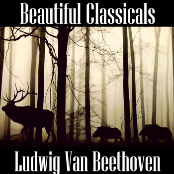 Ludwig van Beethoven - Beautiful Classicals: Ludwig van Beethoven