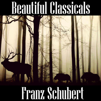 Franz Schubert - Beautiful Classicals: Franz Schubert