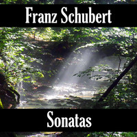 Franz Schubert - Franz Schubert: Sonatas