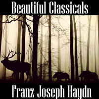 Franz Joseph Haydn - Beautiful Classicals: Franz Joseph Haydn