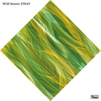 Wild Beasts - Stray