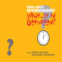 David Lowe's Dreamcatcher - What...is in Between?
