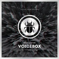 Reset Safari - Voicebox