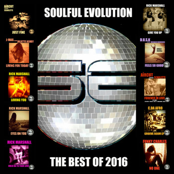 Various Artists - Soulful Evolution The Best of 2016