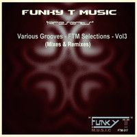 Dj Funky T - Various Grooves: FTM Selections, Vol. 3 (Mixes & Remixes)