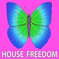 Mama Maestro - Deep Synthesis