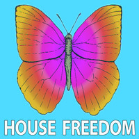 Bunny House - House Drive