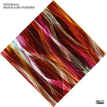 Wild Beasts - Reach A Bit Further