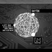 Saytek - A City Sold