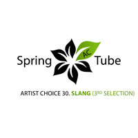 Dj SlanG - Artist Choice 030. Slang (3rd Selection)
