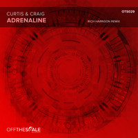 Curtis & Craig - Adrenaline (Rich Harrison Remix)