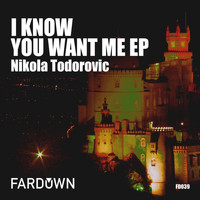 Nikola Todorovic - I Know You Want Me EP