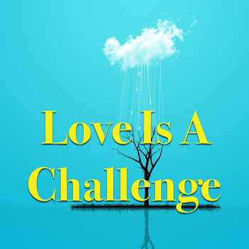 Various Artists - Love Is A Challenge