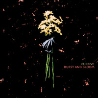 Cursive - Burst and Bloom