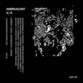 Various Artists - Ambivalent