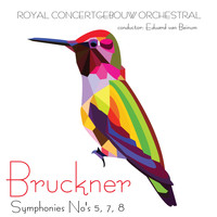 Royal Concertgebouw Orchestra & Eduard van Beinum - Bruckner Symphonies No's 5, 7, 8 & 9