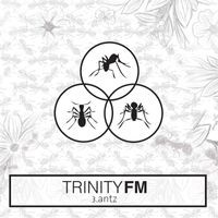 Trinity FM - Antz