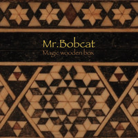 Mr. Bobcat - Magic Wooden Box