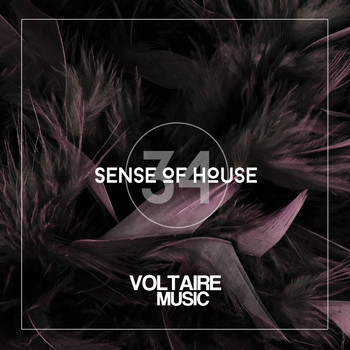 Various Artists - Sense of House, Vol. 34