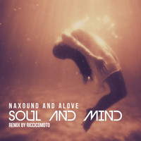 NAXOUND & Alove - Soul and Mind (Riccicomoto Remix)