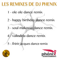 DJ Phenix - Les remixes de DJ Phenix
