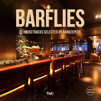 Various Artists - Barflies, Vol. 2 (25 Housetracks selected by Barkeepers)