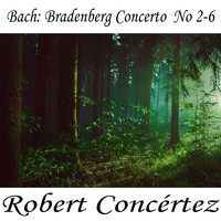 Johann Sebastian Bach - Bach: Brandenberg Concerto No. 2-6