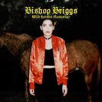 Bishop Briggs - Wild Horses (Acoustic)
