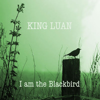 King Luan - I Am the Blackbird