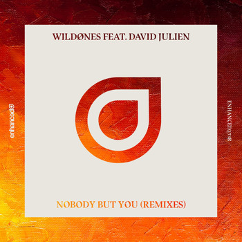 WildOnes feat. David Julien - Nobody But You (Remixes)