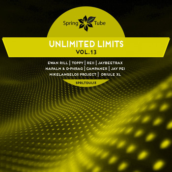 Various Artists - Unlimited Limits, Vol. 13