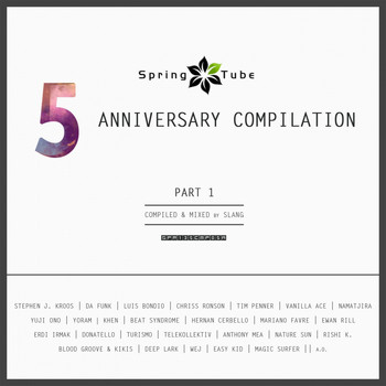 Dj SlanG - Spring Tube 5th Anniversary Compilation, Pt. 1 (Compiled and Mixed by DJ Slang)