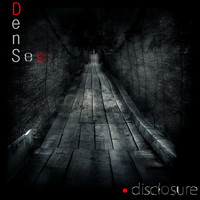 DenSer - Disclosure