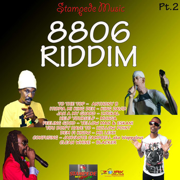 Various Artists - 8806 Riddim Pt. 2