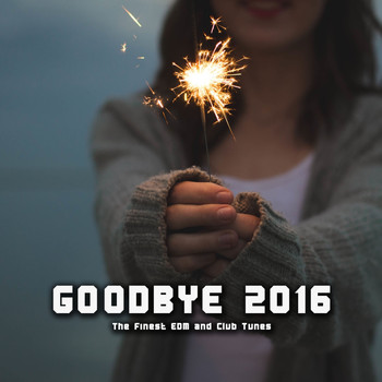 Various Artists - Goodbye 2016 (The Finest EDM and Club Tunes)