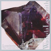 Wadada Leo Smith - Luminous Axis (The Caravans Of Winter And Summer)